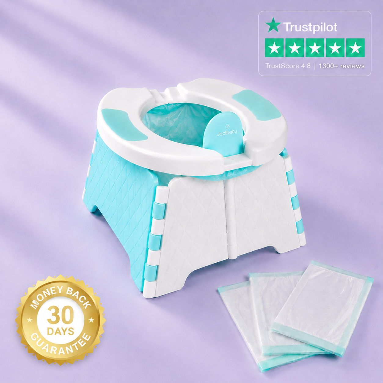 Portable potty