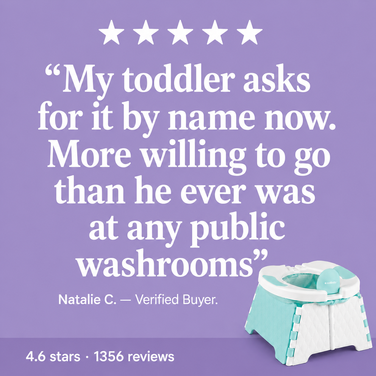 Portable potty